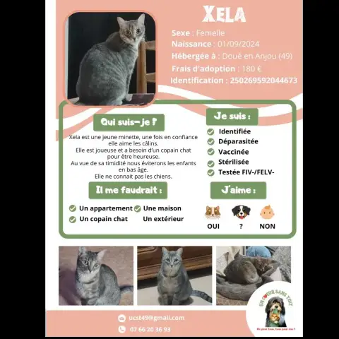 Xela