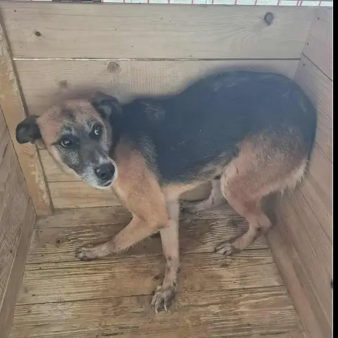 Matéo photo 3