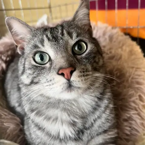 Yuka