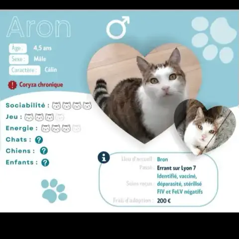 Aron