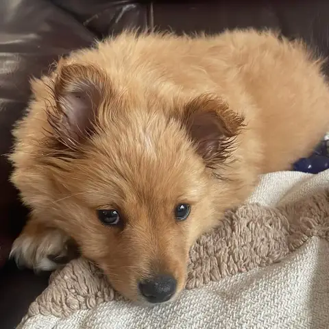 Bobby
