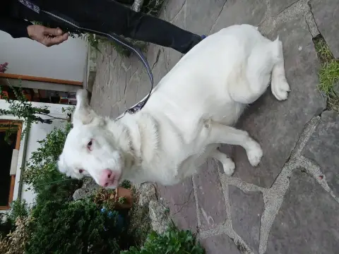 Sally photo 2