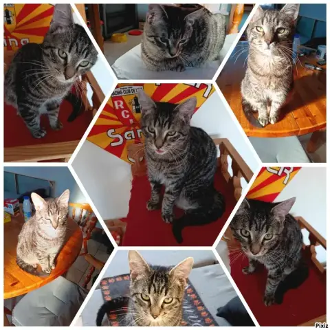 Valentin