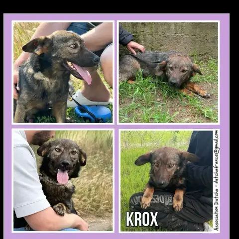 Krox