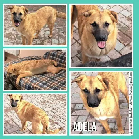 Adela