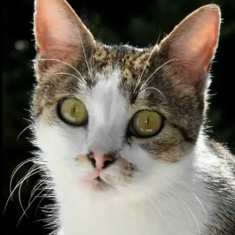 Ariane photo 2