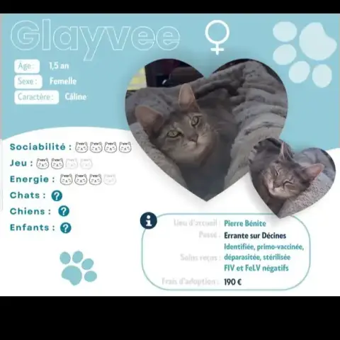 Glayvee