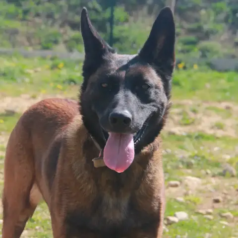 Sidjy