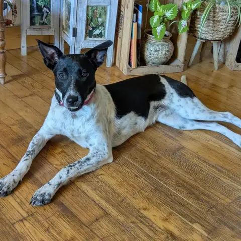Lola photo 2