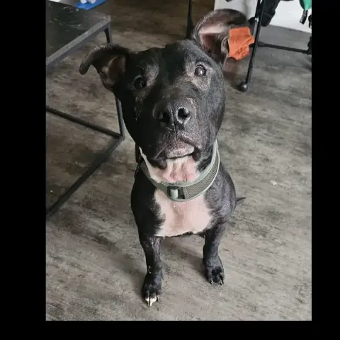 Paco photo 2