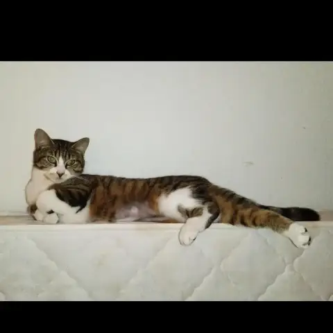 Martha photo 3