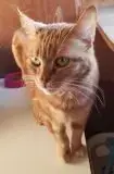 Kiki photo 2