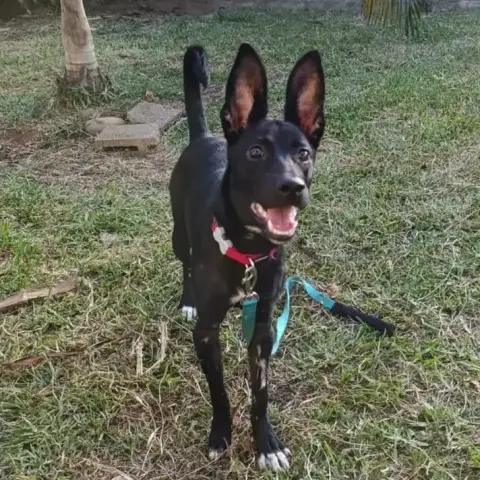 Karma photo 2