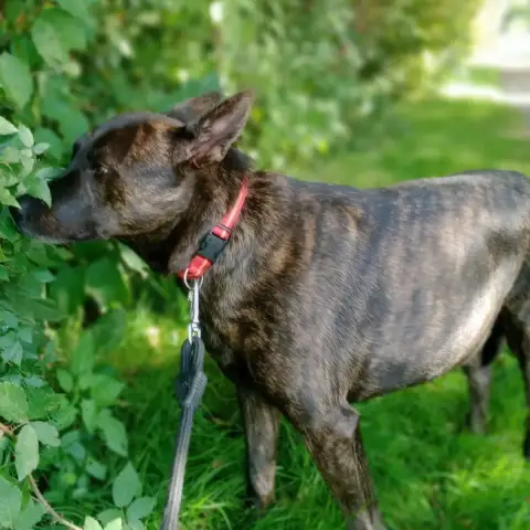 Smurff***Reservee*** photo 3