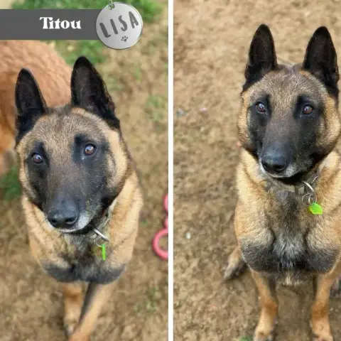 Titou
