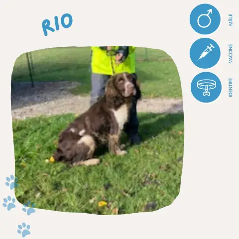 Rio