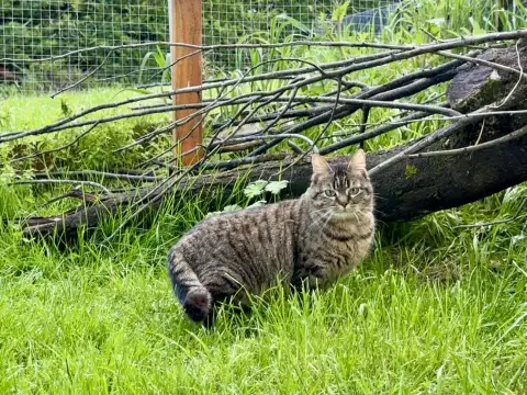 Delilah photo 2