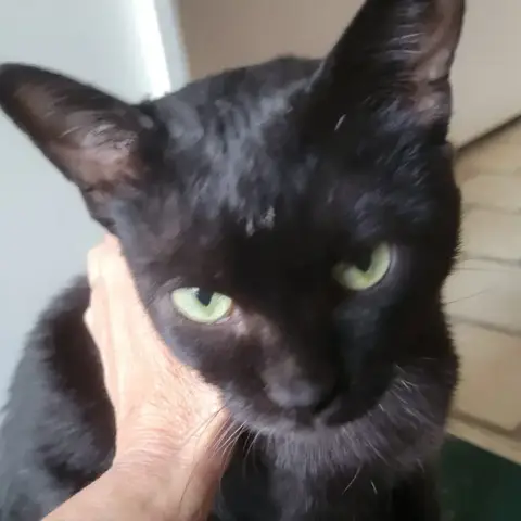 Blacky photo 2