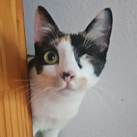 Mia