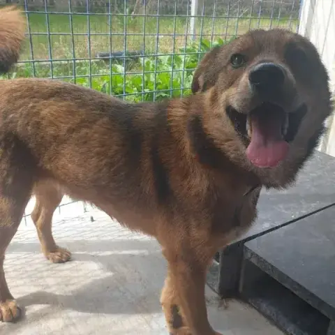 Bilbo photo 3
