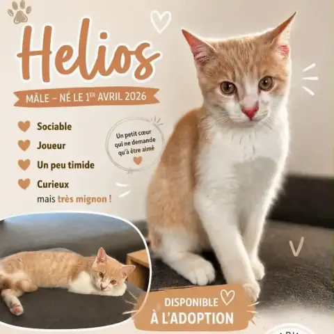 Helios