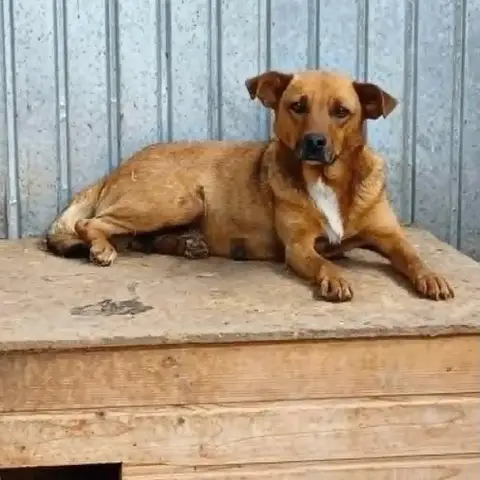 Sépia photo 2