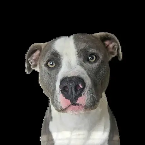 Charlie