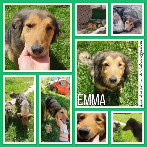 Emma