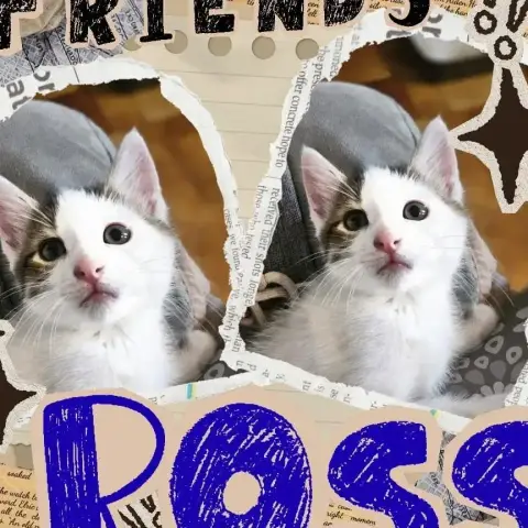 Ross