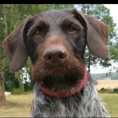 Trevor
