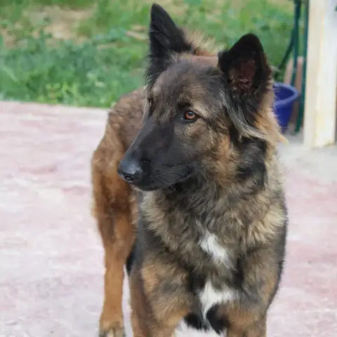 Neira photo 3