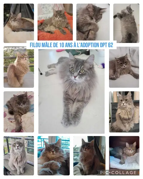 Filou photo 2