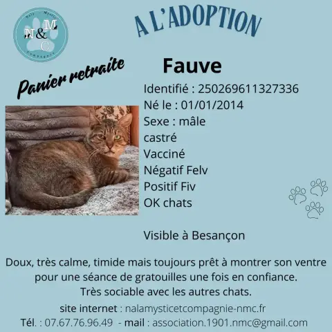 Fauve