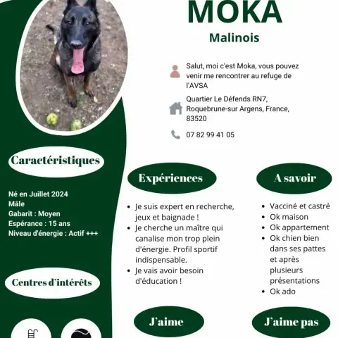 Moka photo 2
