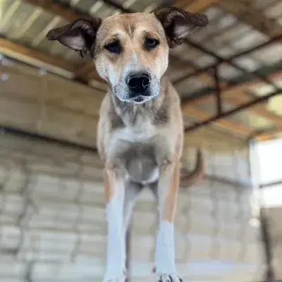 Luna photo 2