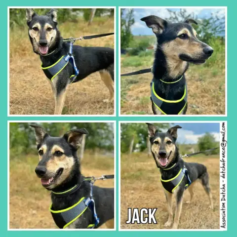 Jack