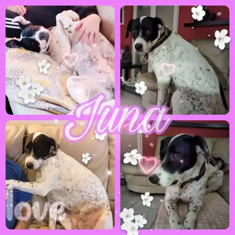 Juna