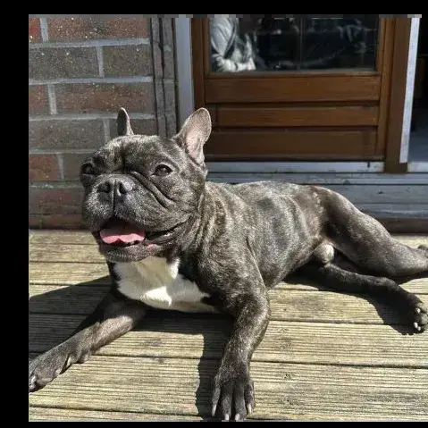 Tigrou