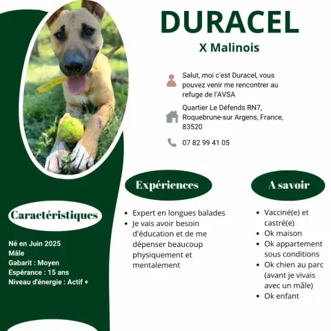 Duracel photo 2
