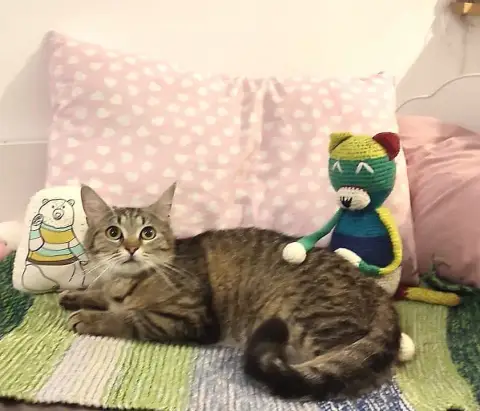 Maya photo 2