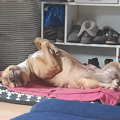 Reïko photo 2