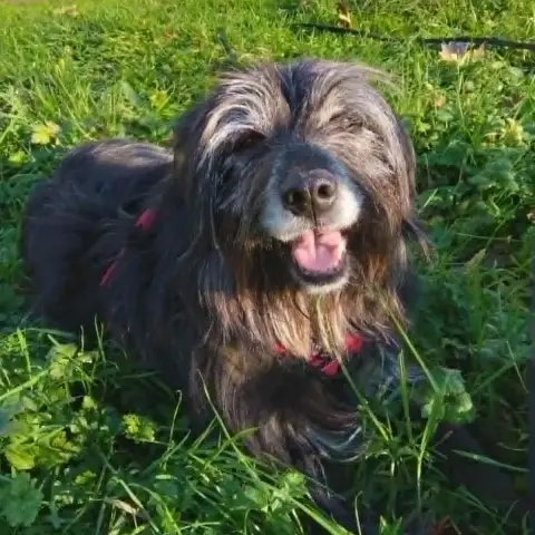 Max photo 3