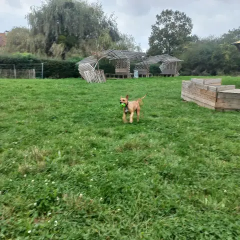 Zina photo 3