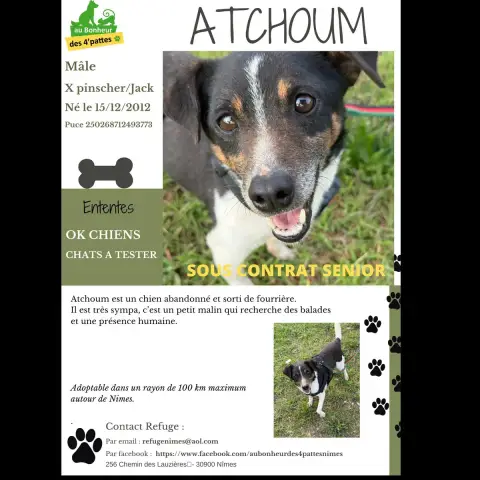 Atchoum
