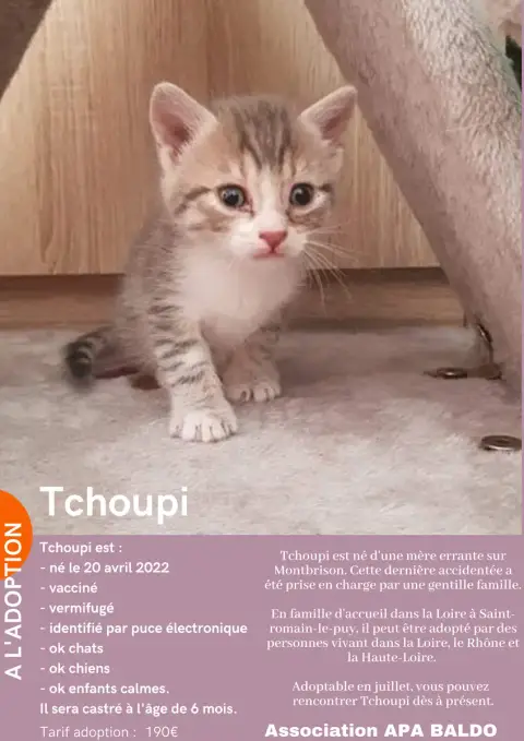 Tchoupi