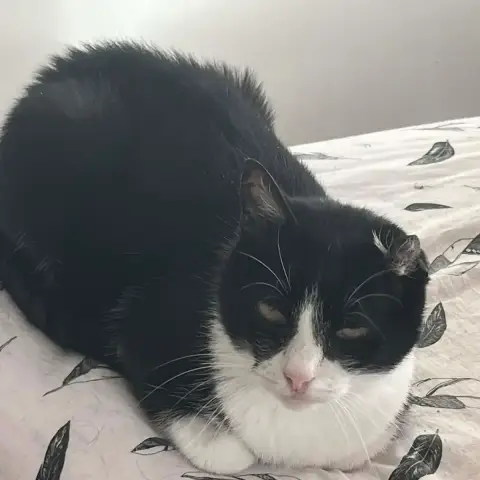 Poupette