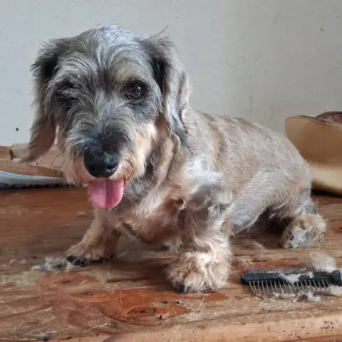 Lilou