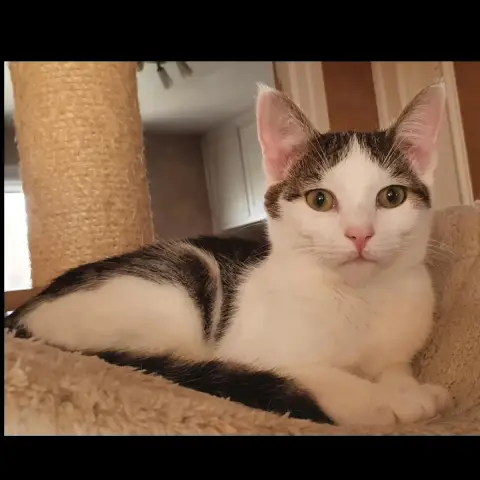 Sirkus photo 2
