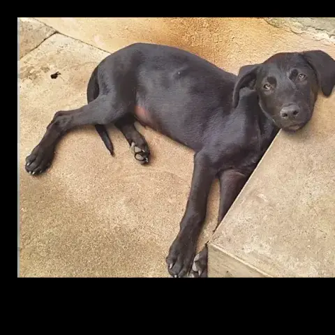 Bouba