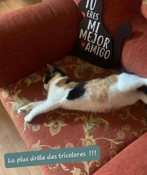 Michette photo 2